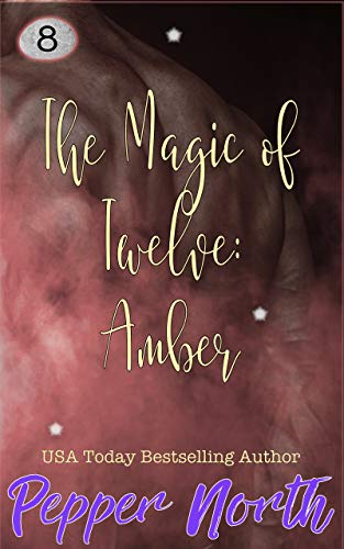 Amber book cover