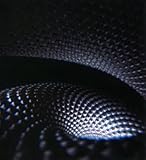 Fear Inoculum (2019)