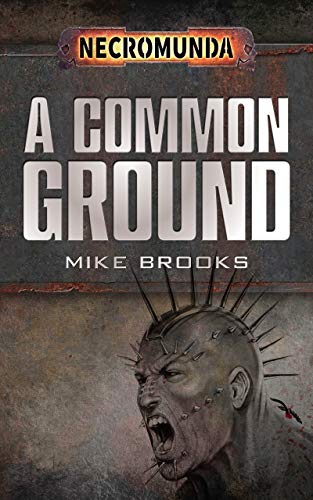 A Common Ground (By: Mike Brooks) cover