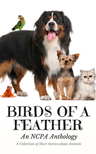 Birds of a Feather cover