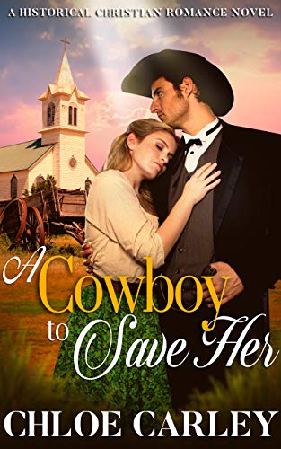 A Cowboy to Save Her book cover