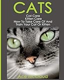 Cats Cat Care Kitten Care How To Take Care Of And Train Your Cat Or Kitten Complete Guide To Cat Care Kitten Care With Pro Training Grooming Nutrition Tips Book 1 English Edition