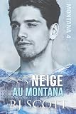 Neige Au Montana