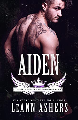Aiden book cover