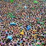 Giants Of All Sizes (2019)