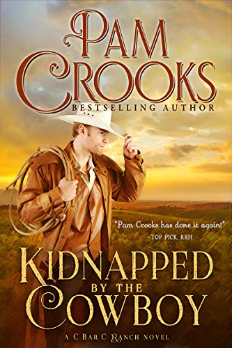 Kidnapped by the Cowboy book cover