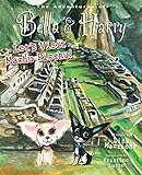 Lets Visit Machu Picchu Adventures Of Bella Harry English Edition