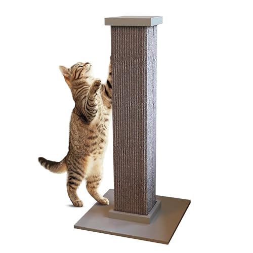 Best Cat Scratching Posts That Last
