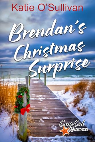 Brendan's Christmas Surprise book cover