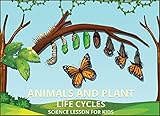 Animals And Plant Life Cycles Book Science Lesson For Kids English Edition