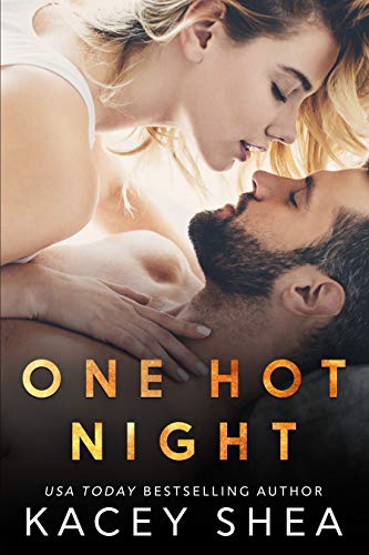 One Hot Night book cover