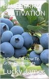 Blueberry Cultivation A Guide On How To Grow Blueberries English Edition