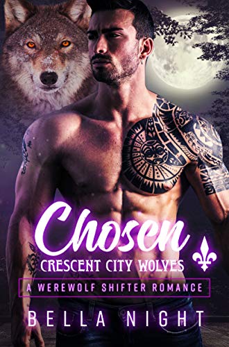 Chosen book cover