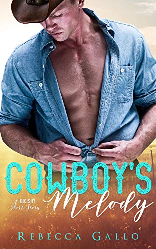 Cowboy's Melody (By: Rebecca Gallo) cover