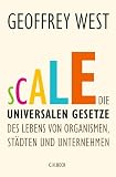 Scale Die Universalen Gesetze Des Lebens Von Organismen Stdten Und Unternehmen German Edition