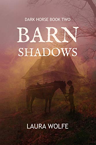 Barn Shadows book cover