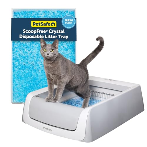 PetSafe ScoopFree Complete Plus Self-Cleaning Litter Box with Hood