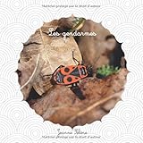 Les Gendarmes: Pyrrhocoris Apterus Documentaire Animalier