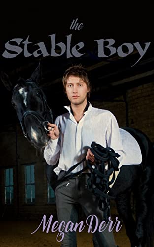 The Stable Boy book cover