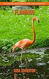 Flamingo Tolle Bilder Wissenswertes Ber Tiere In Der Natur German Edition