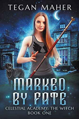 Marked by Fate book cover