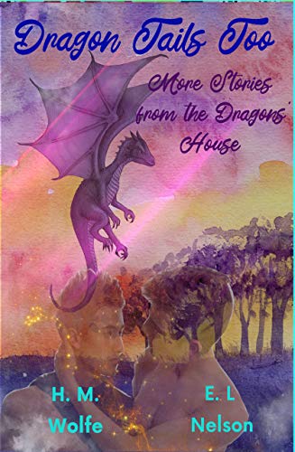 Dragon Tails Too book cover