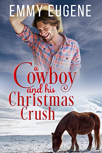 Cowboys Never Get A Second Chance book cover