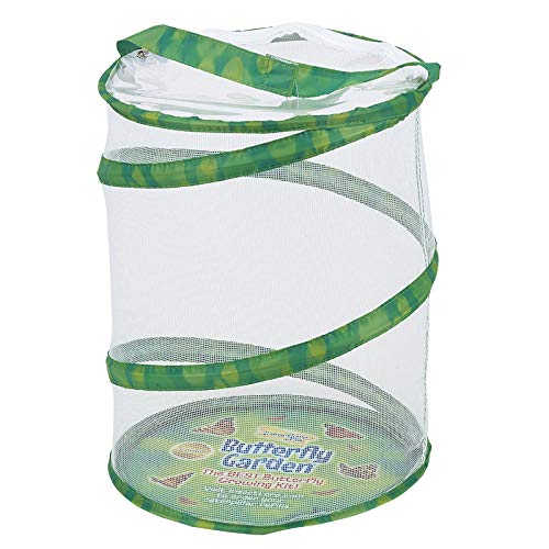 Insect Lore Butterfly Garden Habitat - Washable, Reusable, Folds Flat - Medium 12 Inch Butterfly Growing Habitat