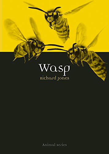 Wasp (By: Richard Jones) cover