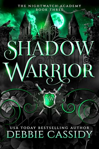 Shadow Warrior book cover
