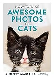 How To Take Awesome Photos Of Cats