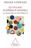 Le Village Numrique Mondial La Deuxime Vie Des Rseaux Science Hum