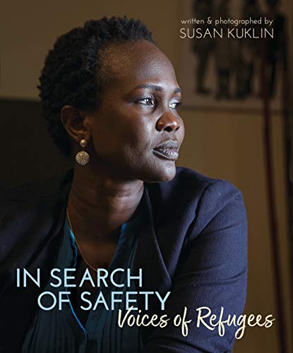 In Search of Safety book cover