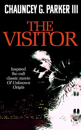 The Visitor book cover