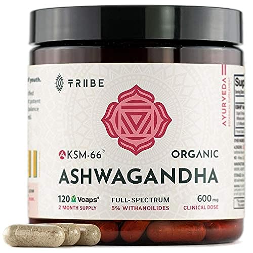 TRIBE ORGANICS Ashwagandha KSM 66 Pure Organic Root Powder Extract Ayurvedic Supplement - Focus, Mood Support, Increase Energy, Strength, 600mg of Natural KSM66 for Superior Absorption - 120 Capsules