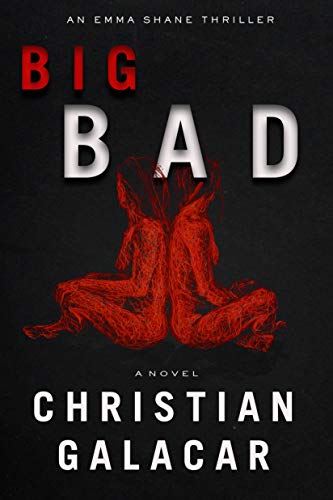 Big Bad book cover