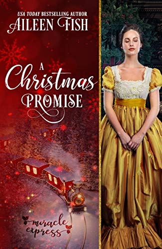 A Christmas Promise (By: Aileen Fish) cover