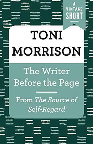 The Writer Before the Page: From The Source of Self-Regard book cover