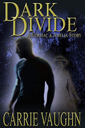 Dark Divide book cover