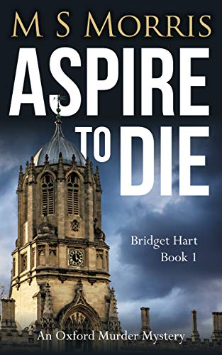 Aspire to Die cover