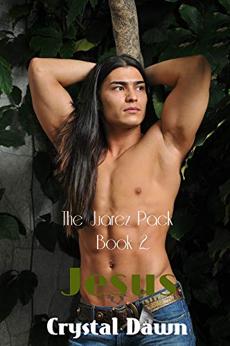 Jesus book cover