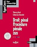 Droit Pnal Procdure Pnale 2020 11e D Hypercours