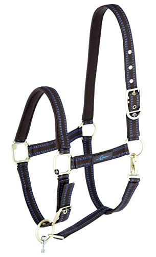 Horse Halter for Goleygo System, Brown/Light Blue, Shetty