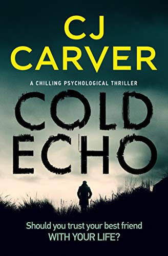 Cold Echo book cover