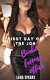 First Day On The Job Bimbo Freeuse Office English Edition
