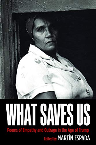 What Saves Us book cover
