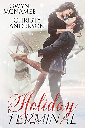 Holiday Terminal book cover