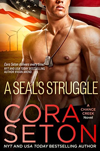 A SEAL's Struggle cover