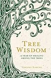 Tree Wisdom A Year Of Healing Among The Trees English Edition