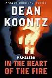 In The Heart Of The Fire Nameless Book 1